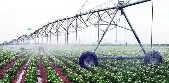 以色列農(nóng)業(yè)技術(shù)開(kāi)發(fā) 如何實(shí)現(xiàn)'一分耕耘，十分收獲'